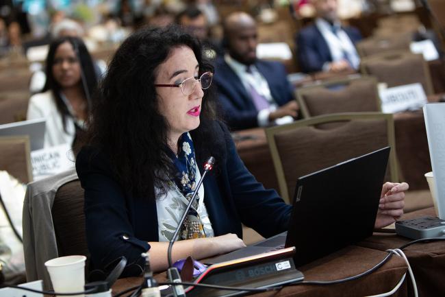 Svetlana Lazic, Bosnia and Herzegovina -UNCCD-CRIC23-3Dec2025
