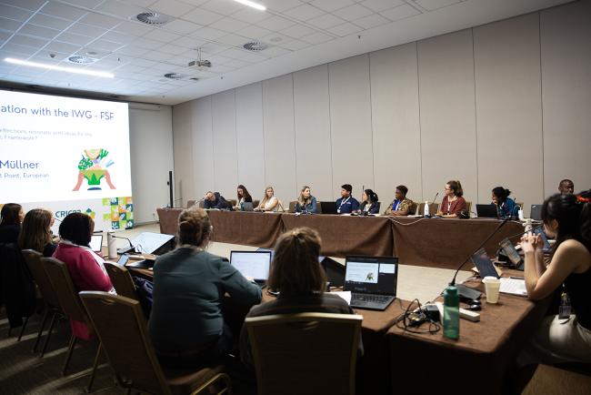 TGM SE1 -UNCCD-CRIC23-3Dec2025