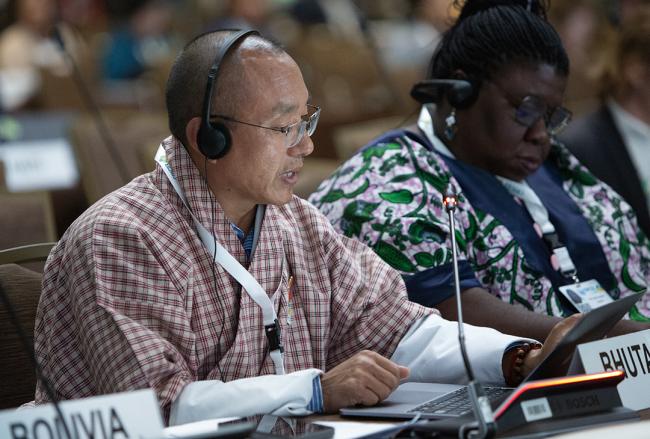 Tashi Wangdi, Bhutan -UNCCD-CRIC23-1Dec2025