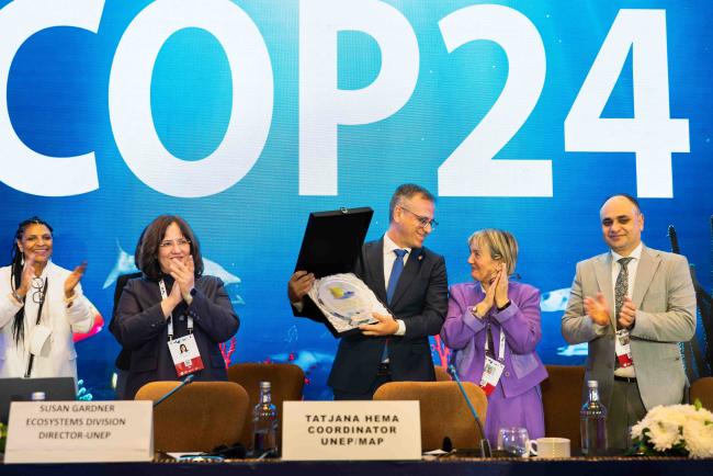 The City of Almeria receives the Istanbul Environment Friendly City Award - BARC_COP24_4dec2025-photo