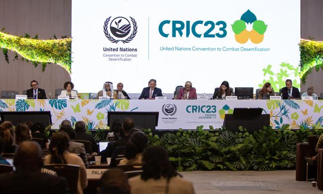 View of the dais during the opening -UNCCD-CRIC23-1Dec2025