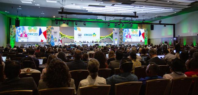 View of the room -UNCCD-CRIC23-1Dec2025