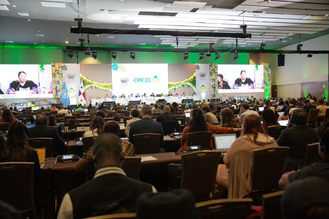 View of the room -UNCCD-CRIC23-3Dec2025