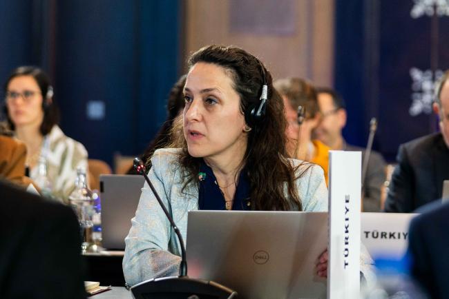 Vildan Bölükbasi Atay, Türkiye - BARC_COP24_3dec2025-photo
