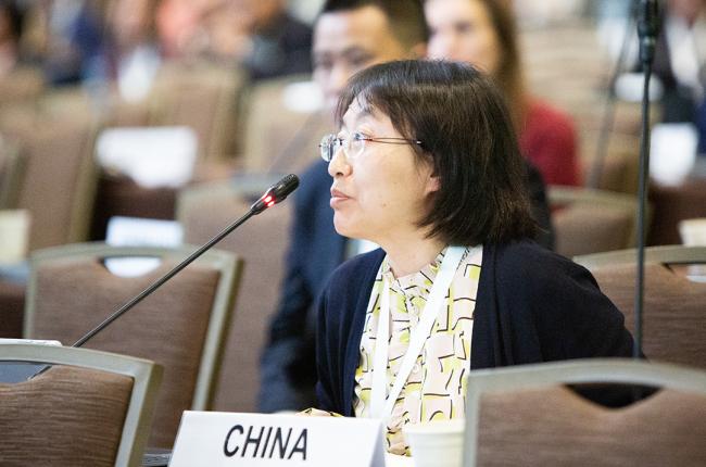Xiaoxia Jia, China -UNCCD-CRIC23-2Dec2025