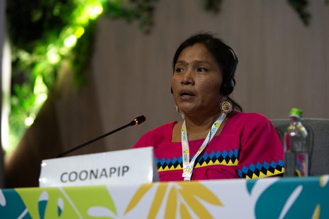 Yanel Venado Jiménez, Gender and Youth Coordinator at the National Coordination of Indigenous Peoples of Panama -UNCCD-CRIC23-3Dec2025