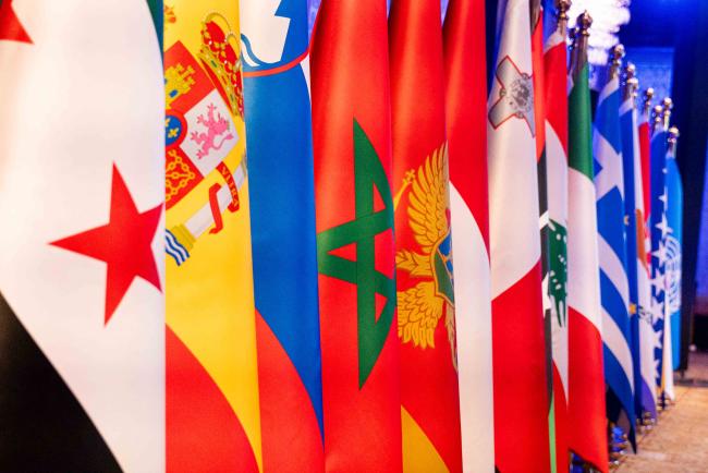 flags - BARC_COP24_3dec2025-photo