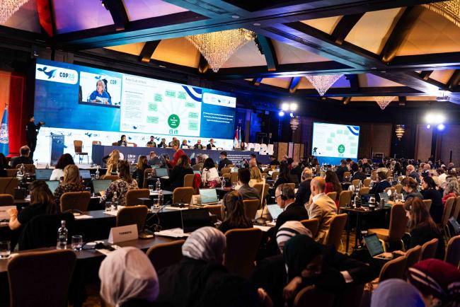 room - BARC_COP24_2dec2025-photo
