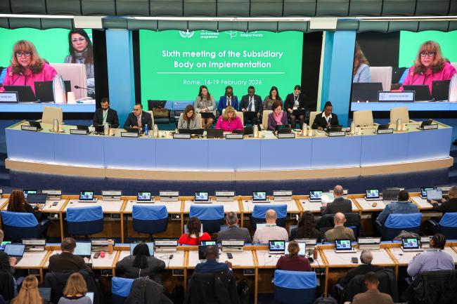 View of the dais during the opening plenary