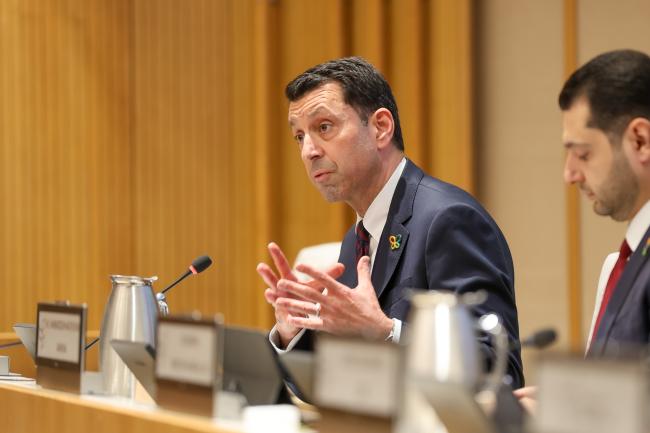 Kaveh Zahedi, FAO