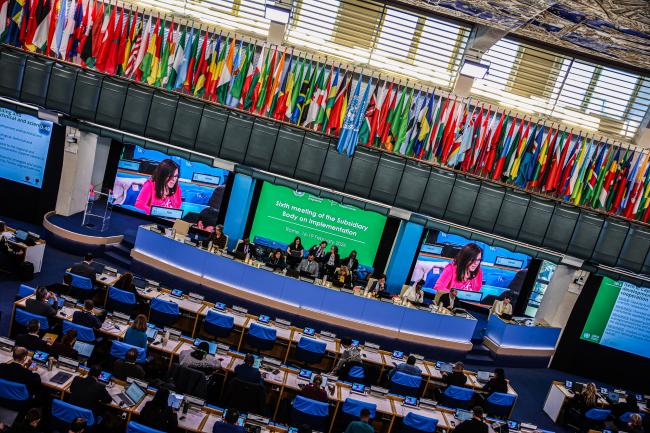 Plenary