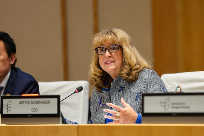 CBD Executive Secretary Astrid Schomaker