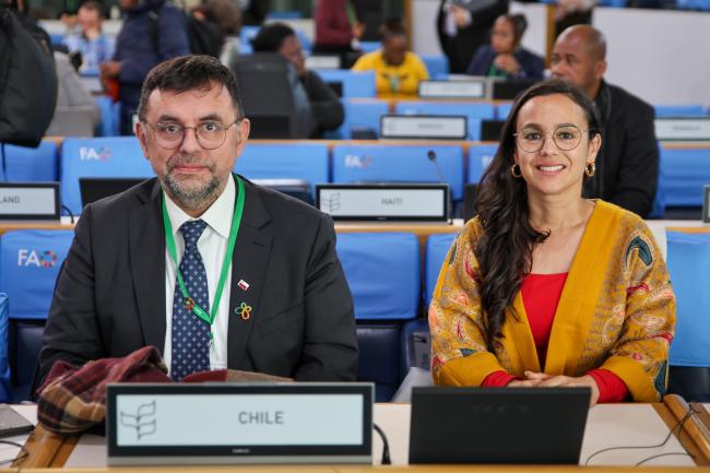 Iván José Vejar Pardo and Paulina Stowhas, Chile