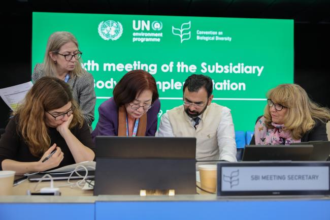 SBI 6 Chair Clarissa Souza Della Nina, Brazil, consulting with the CBD Secretariat