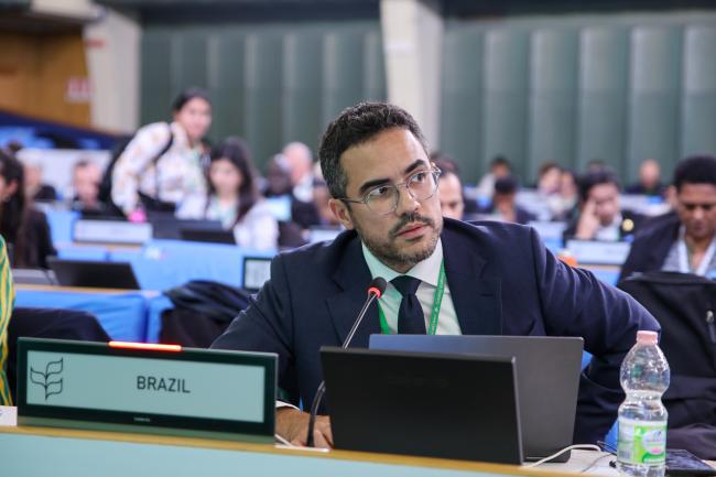 Diogo Gonçalves, Brazil
