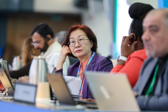 CBD Deputy Executive Secretary Jihyun Lee