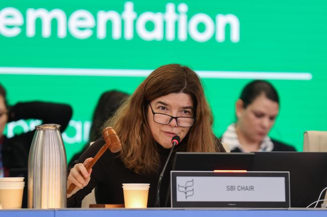 SBI 6 Chair Clarissa Souza Della Nina, Brazil