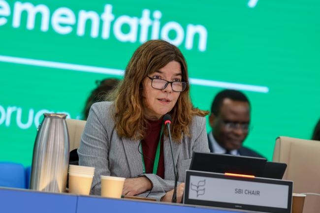 SBI 6 Chair Clarissa Souza Della Nina, Brazil