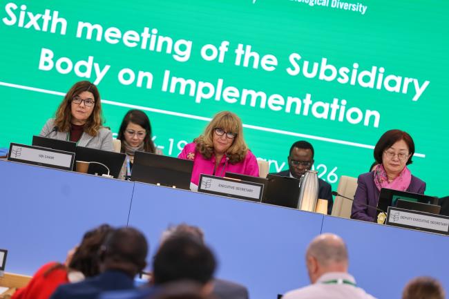 From L-R: SBI 6 Chair Clarissa Souza Della Nina, Brazil; CBD Executive Secretary Astrid Schomaker; and CBD Deputy Executive Secretary Jihyun Lee