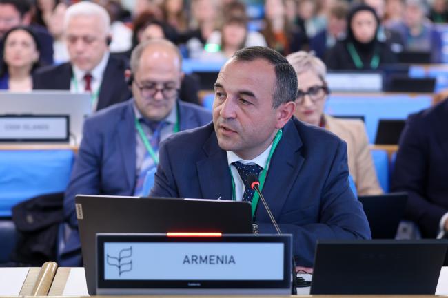 Davit Knyazyan, Armenia