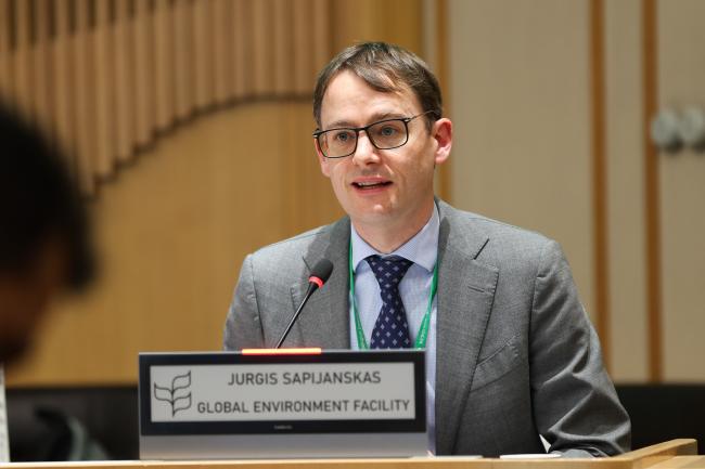 Jurgis Sapijanskas, GEF Secretariat