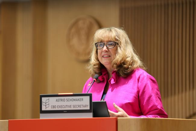 CBD Executive Secretary Astrid Schomaker