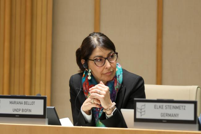 Mariana Bellot, UN Development Programme
