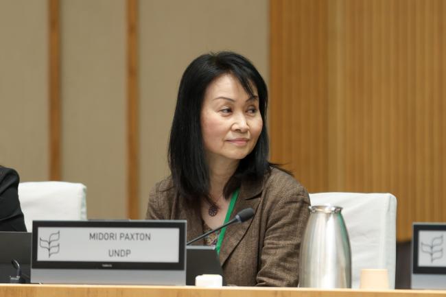 Midori Paxton, UNDP