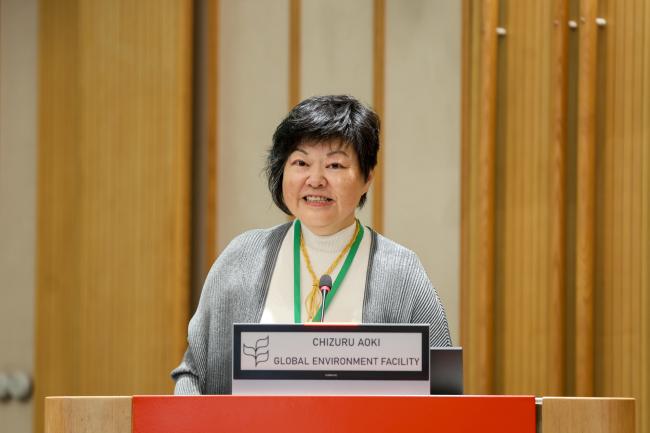 Chizuru Aoki, GEF Secretariat