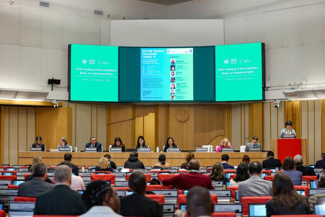 View of the panel during a GEF information session on nature finance for KMGBF Target 19