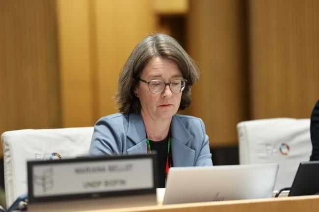 Elke Steinmetz, Germany