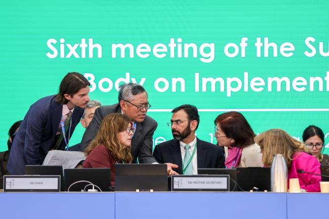 SBI 6 Chair Clarissa Souza Della Nina, Brazil, consulting with the Secretariat