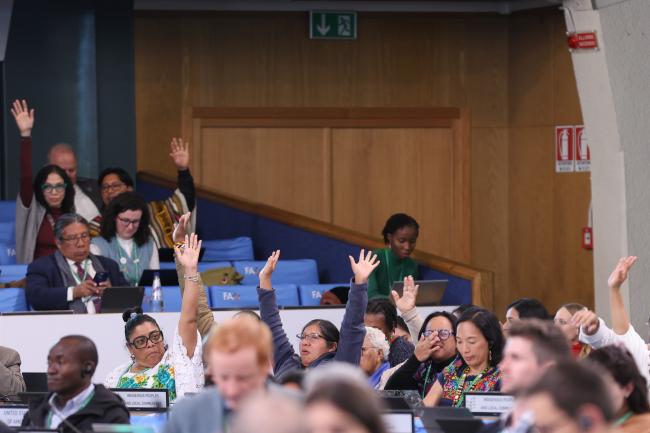 IIFB delegates confirming their presence during the plenary