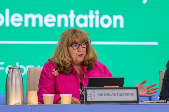 CBD Executive Secretary Astrid Schomaker