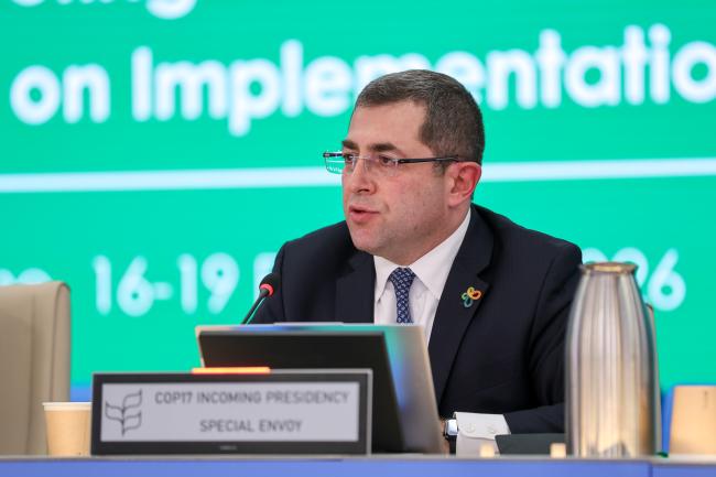 Mher Margaryan, COP17 Presidency Special Envoy