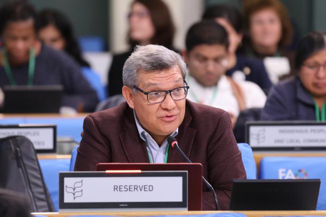 Hesiquio Benítez Díaz, former SBSTTA Chair