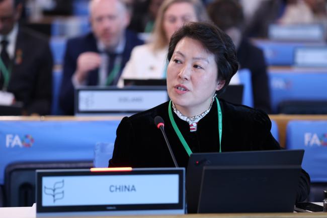 Yan Liu, China