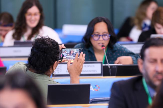 Plenary