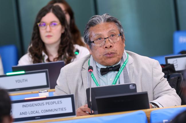 Onel Masardule, Executive Director, Foundation for the Promotion of Indigenous Knowledge