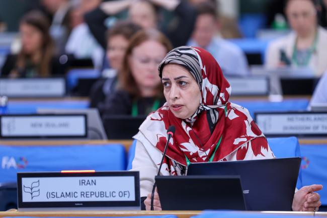 Mariam Barzoki, Iran