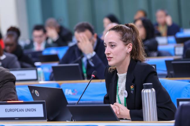 Nadja Steinfort, EU