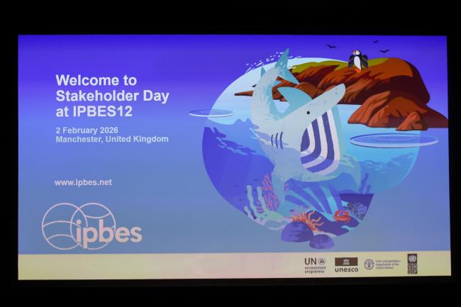 Welcome screen 