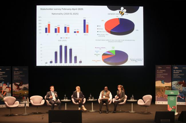 A view of the panel 