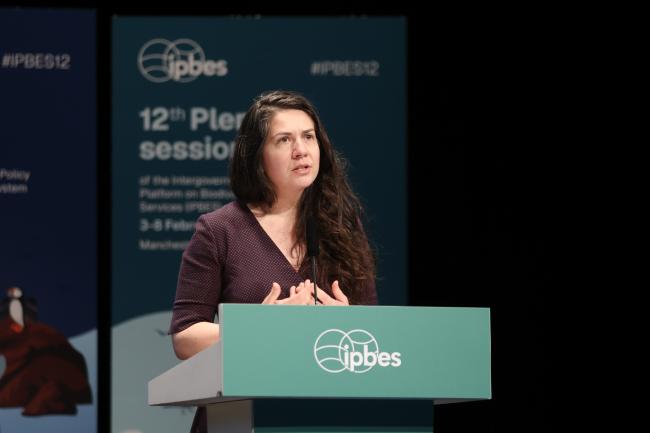 Amarys Preuss, IPBES Secretariat 