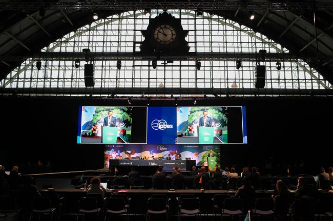A view of the room during the Opening session 
