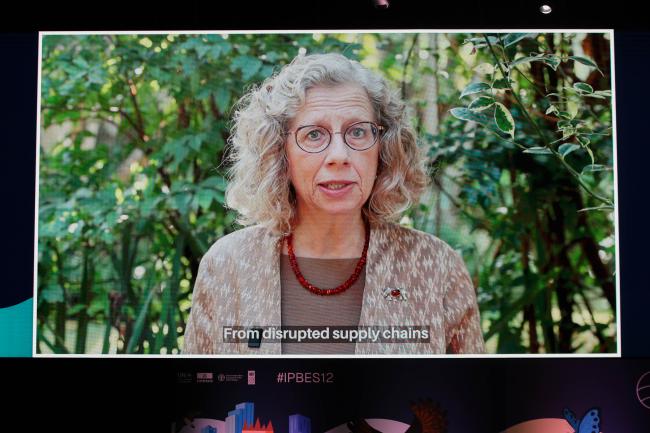 Inger Andersen, Executive Director, UNEP, participated via a recorded video message.