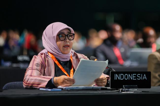 Lu'lu' Agustina, Indonesia 