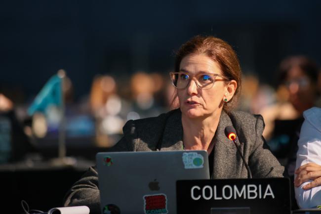 Alicia Lozano, Colombia, on behalf of the Group of Latin America and Caribbean Countries (GRULAC)