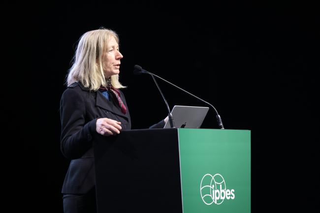 Patricia Miloslavich, Co-Chair, Methodological Assessment on monitoring biodiversity and nature's contributions to people 
