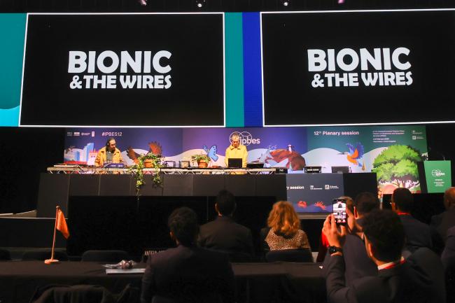 Bionic & The Wires 